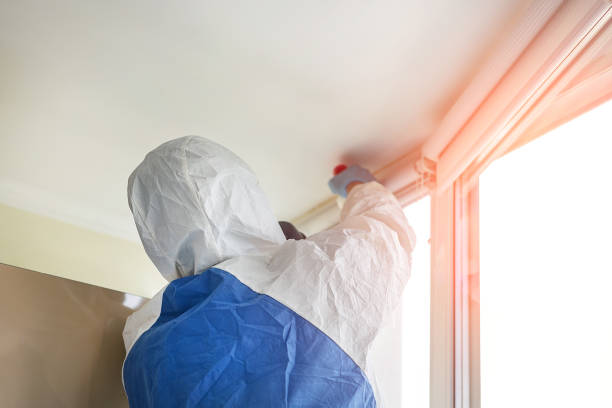 Why You Should Choose Our Mold Remediation Services in Chelsea, MI